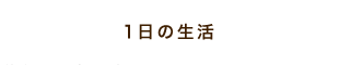 1日の生活